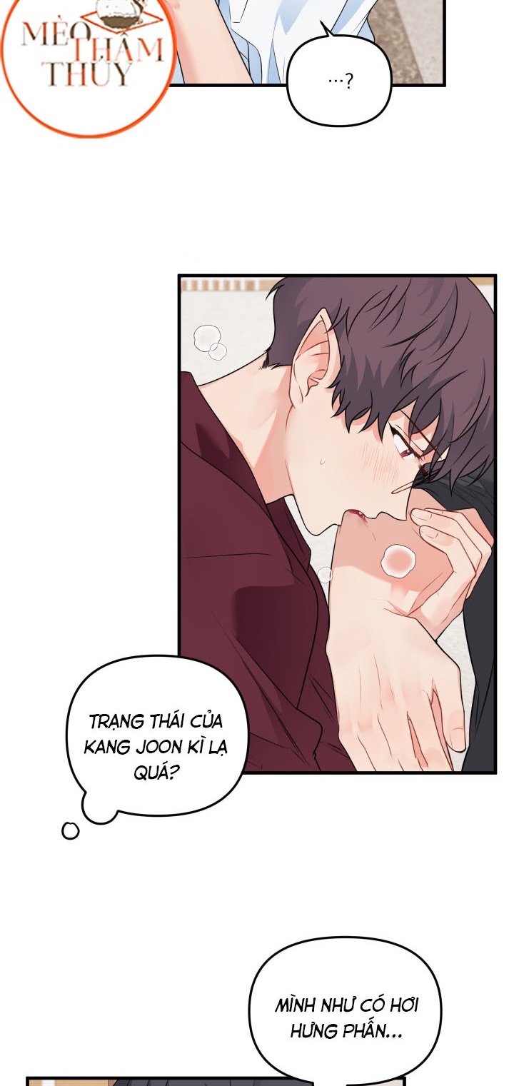 Máu Và Tình Yêu Chapter 41 - Trang 31