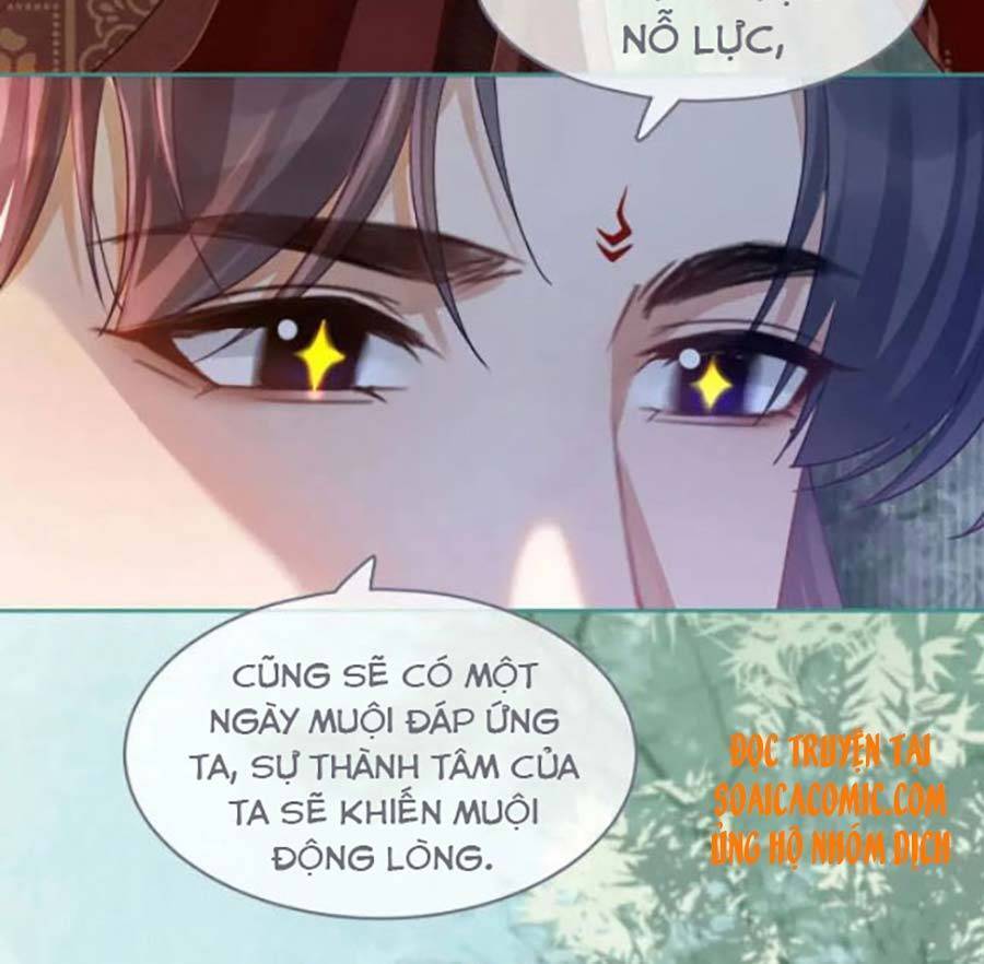 Xuyên Nhanh Nữ Phụ Bình Tĩnh Chút Chapter 69 - Trang 5