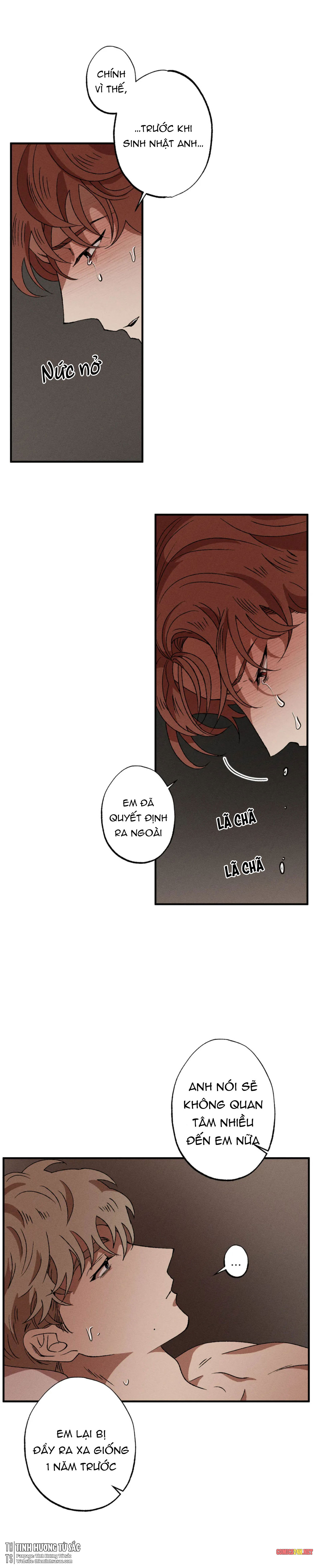 Bẫy Kép Chapter 29 - Trang 11