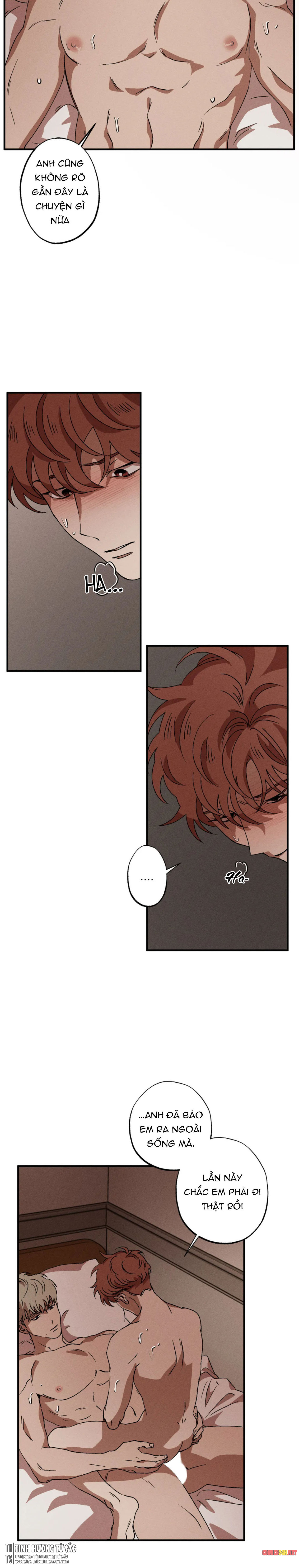 Bẫy Kép Chapter 29 - Trang 10
