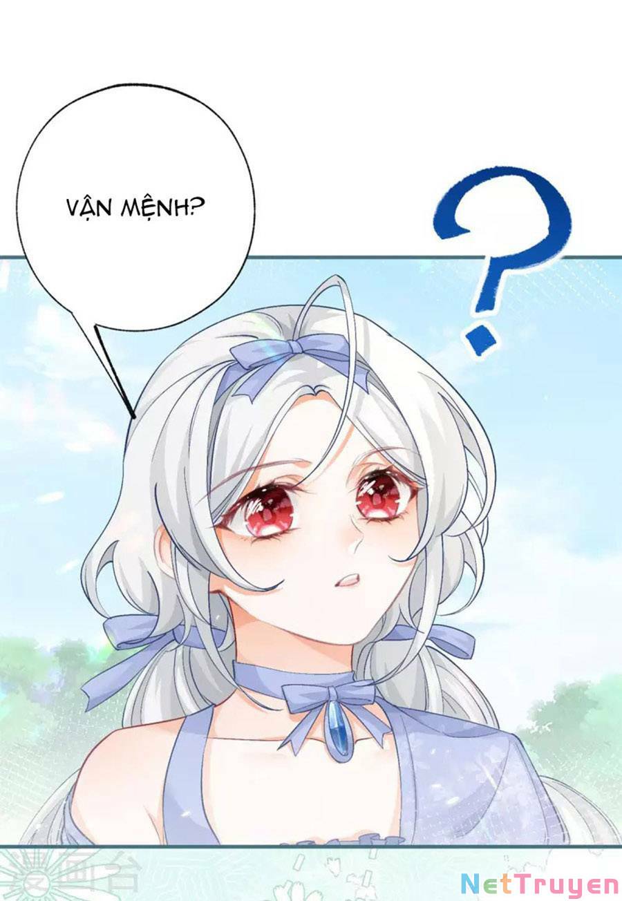 Ngày Nào Đó Trở Thành Công Chúa Tế Phẩm Chapter 26 - Trang 5