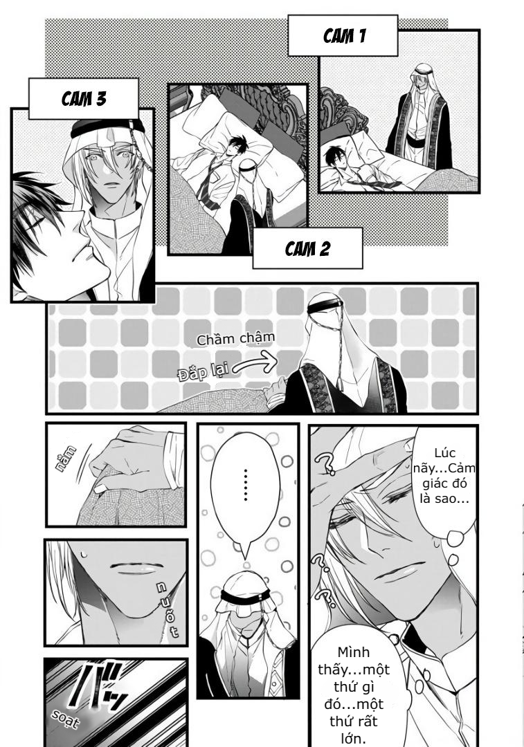 Rakka no Alpha Ou Chapter 1 - Trang 11