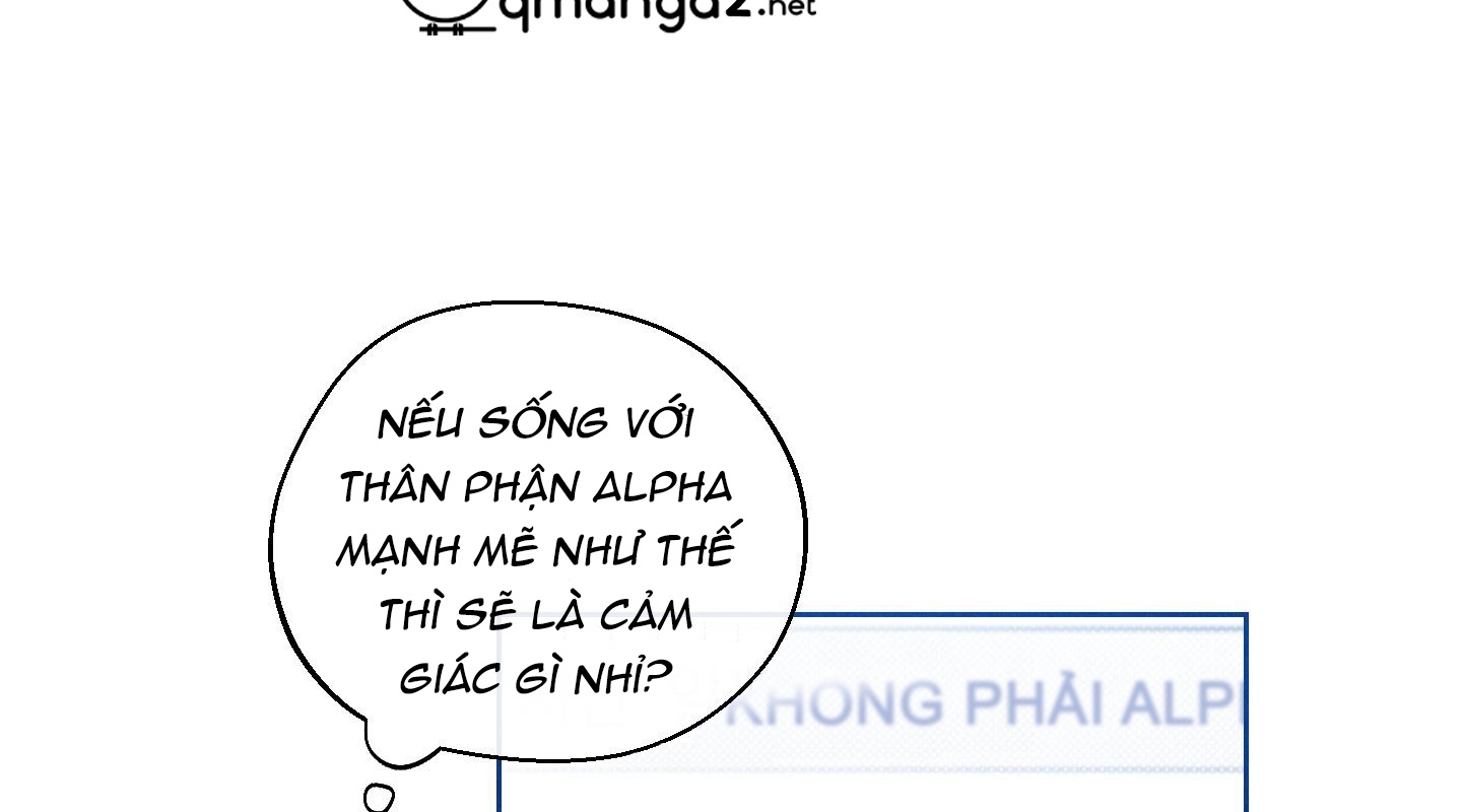 Tháng 12 Của Tôi Chapter 3 - Trang 49