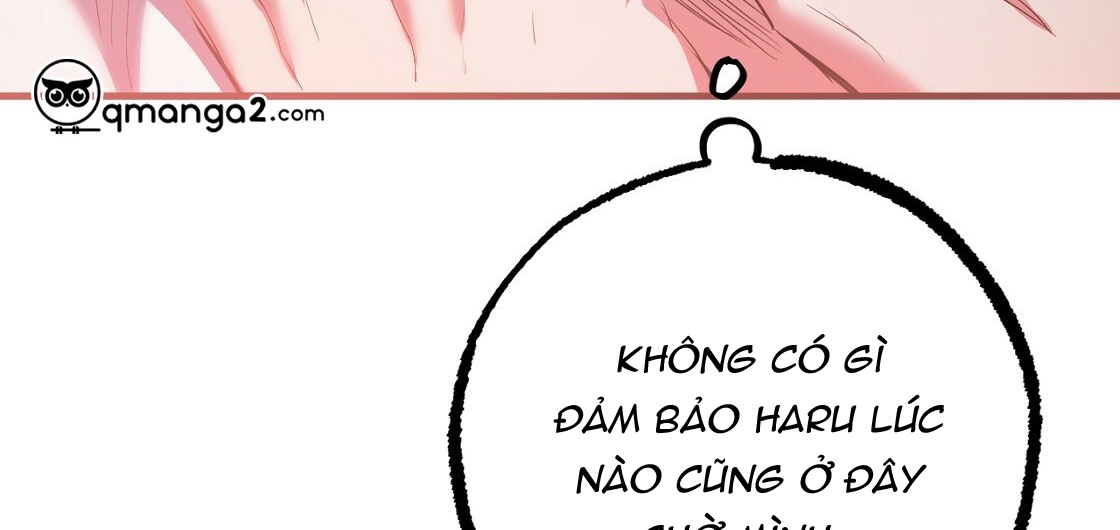 Đàn Thỏ Của Habibi Chapter 23 - Trang 280