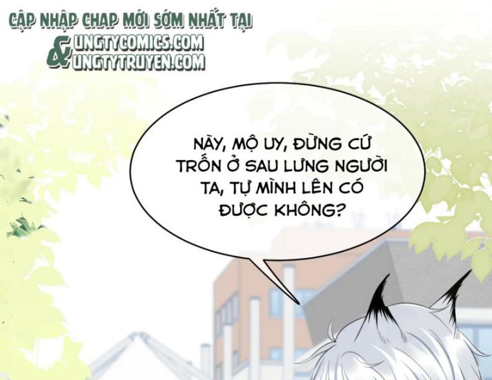 Một Ngụm Nuốt Trọn Thỏ Con Chapter 43 - Trang 2