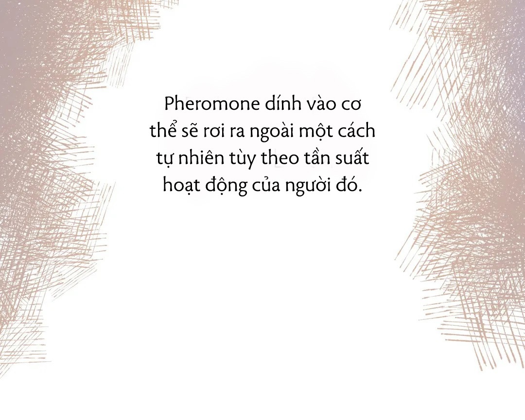 Chứng sợ Pheromone Chapter 10 - Trang 11