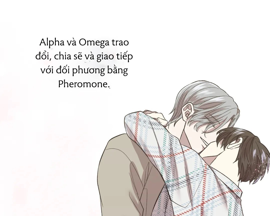 Chứng sợ Pheromone Chapter 10 - Trang 3