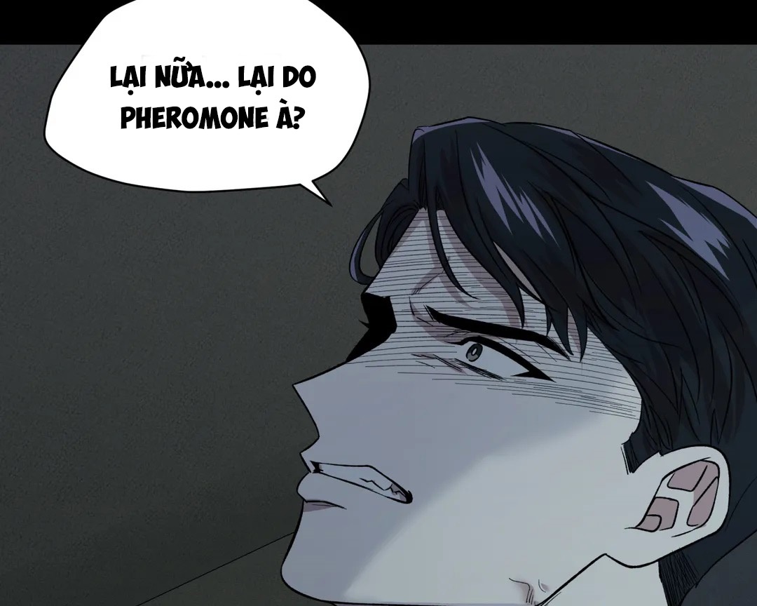 Chứng sợ Pheromone Chapter 10 - Trang 34