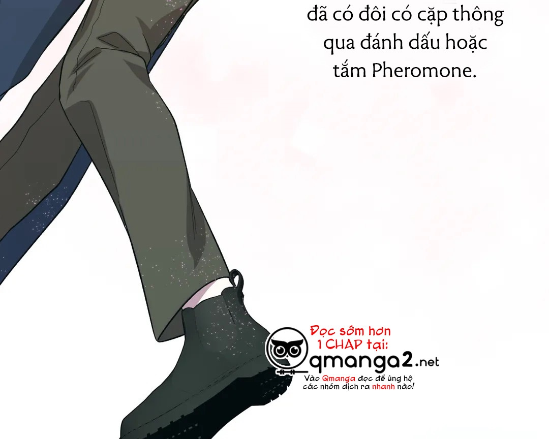 Chứng sợ Pheromone Chapter 10 - Trang 5