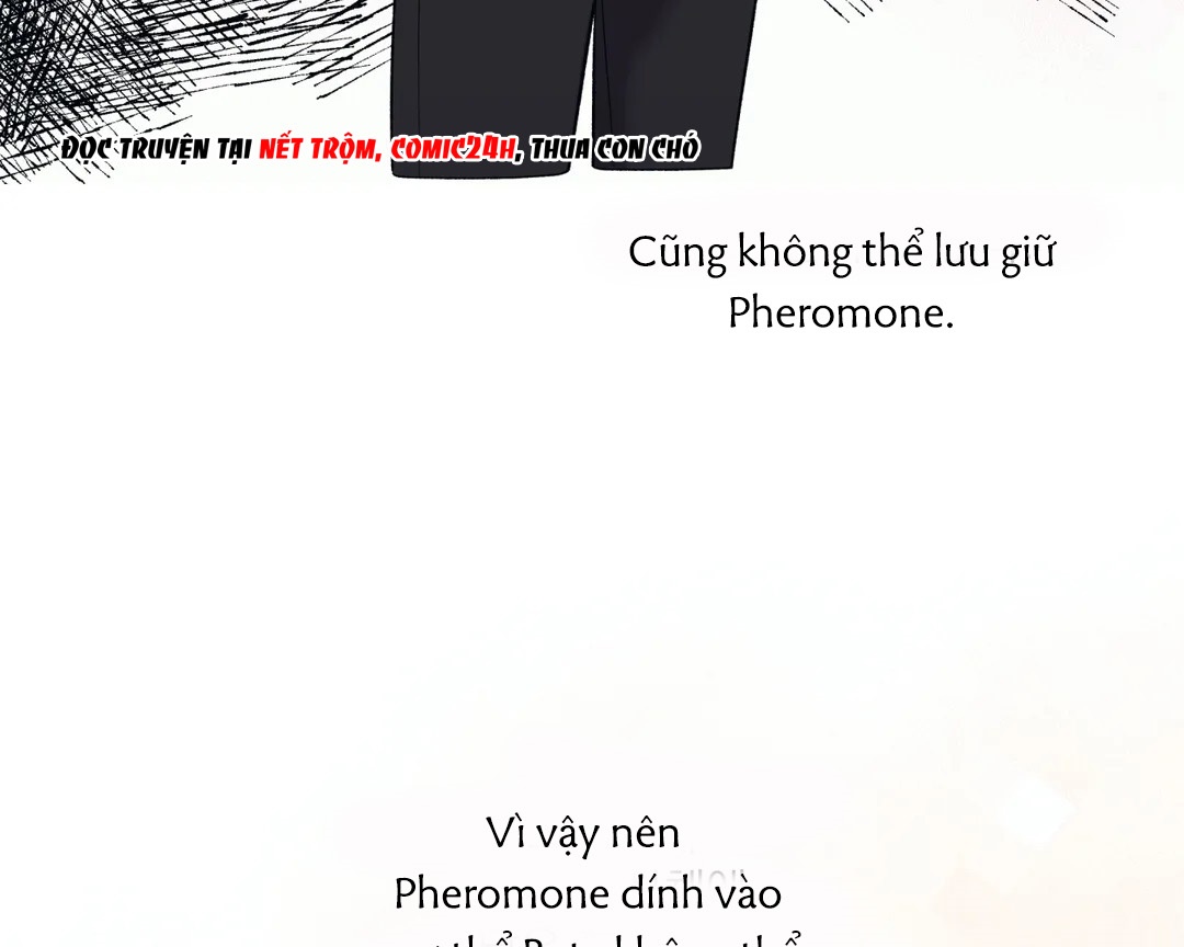 Chứng sợ Pheromone Chapter 10 - Trang 8