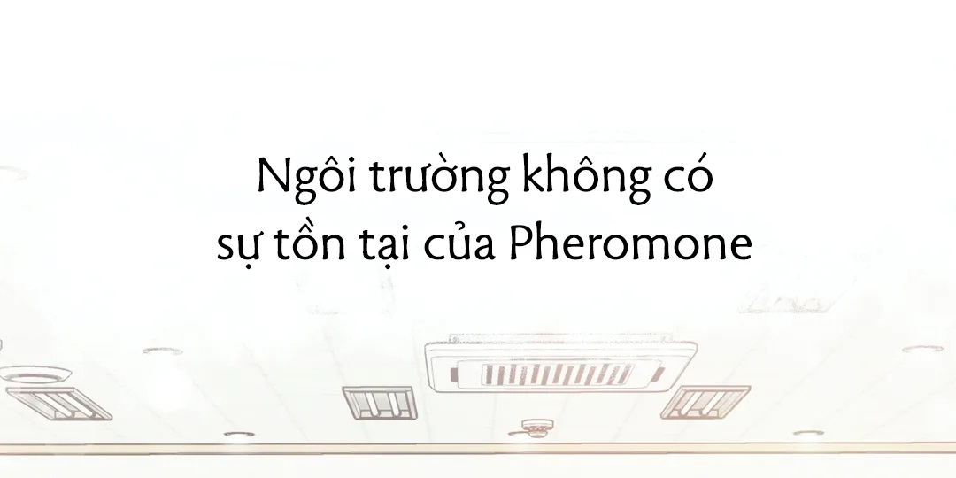 Chứng sợ Pheromone Chapter 5 - Trang 18