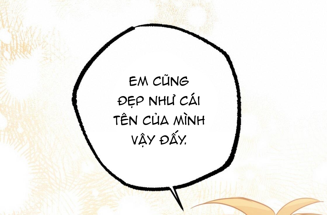 Đàn Thỏ Của Habibi Chapter 24 - Trang 223