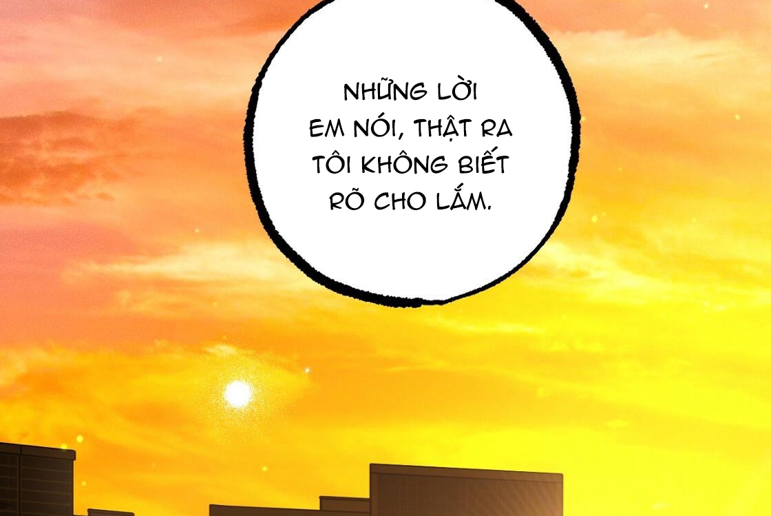 Đàn Thỏ Của Habibi Chapter 24 - Trang 228