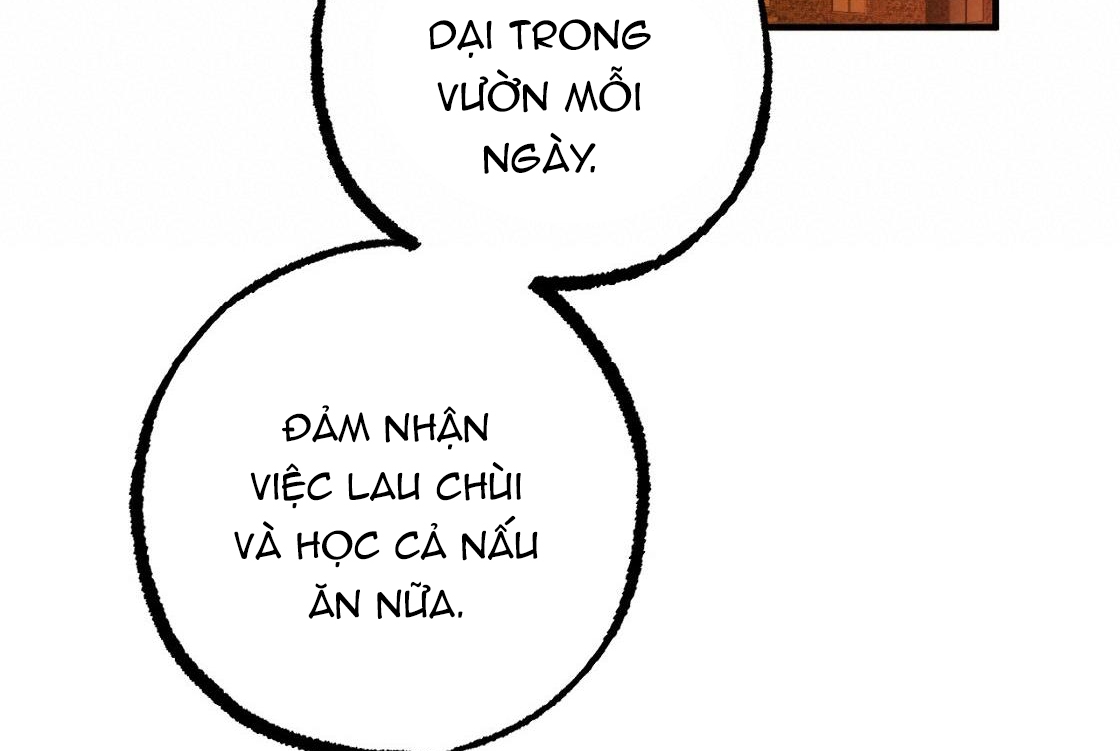 Đàn Thỏ Của Habibi Chapter 24 - Trang 255