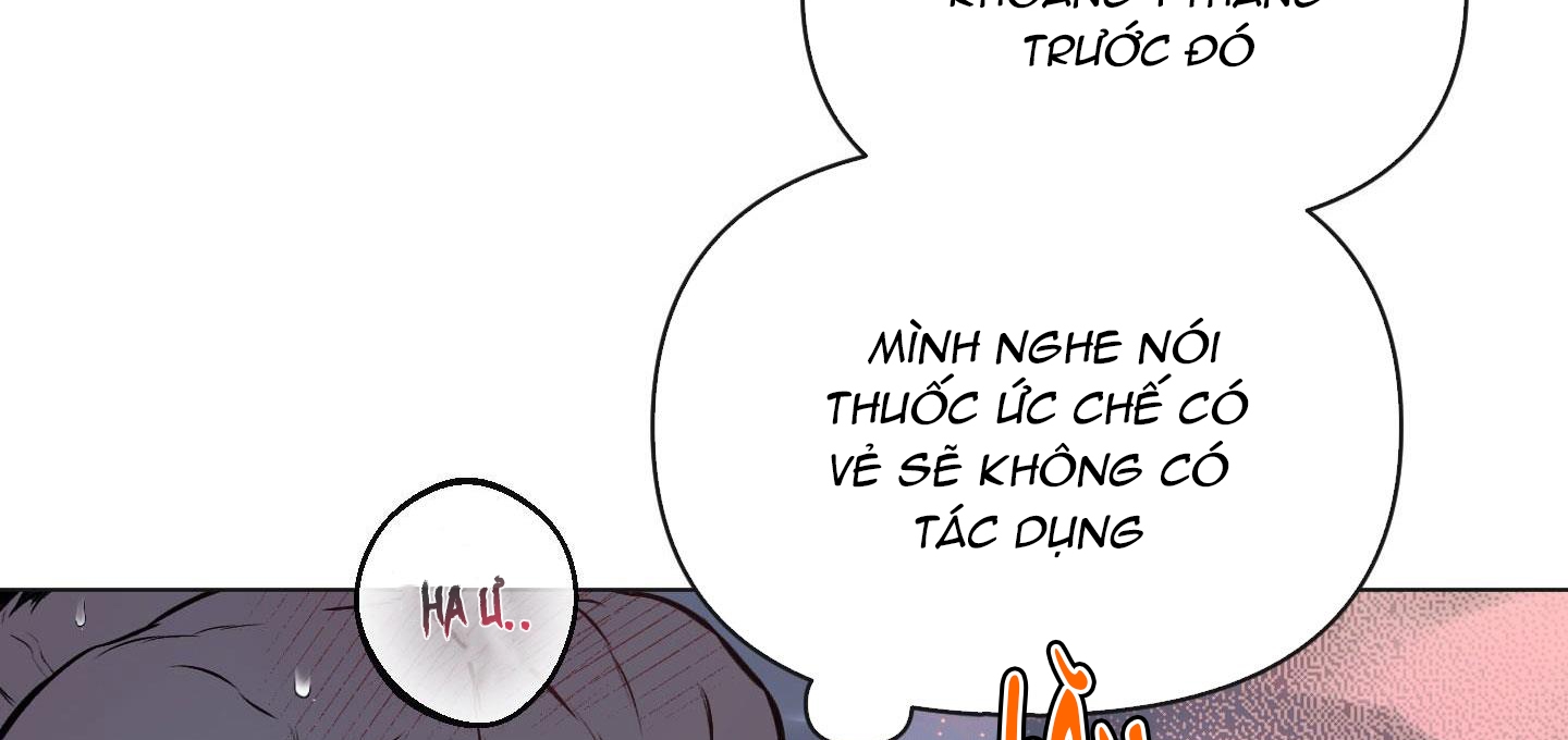 Định Rõ Mối Quan Hệ Chapter 24 - Trang 249