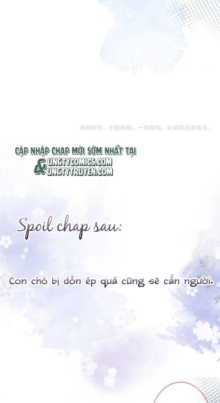 Tiểu Lang Cẩu Của Ảnh Đế Gia Chapter 8 - Trang 33