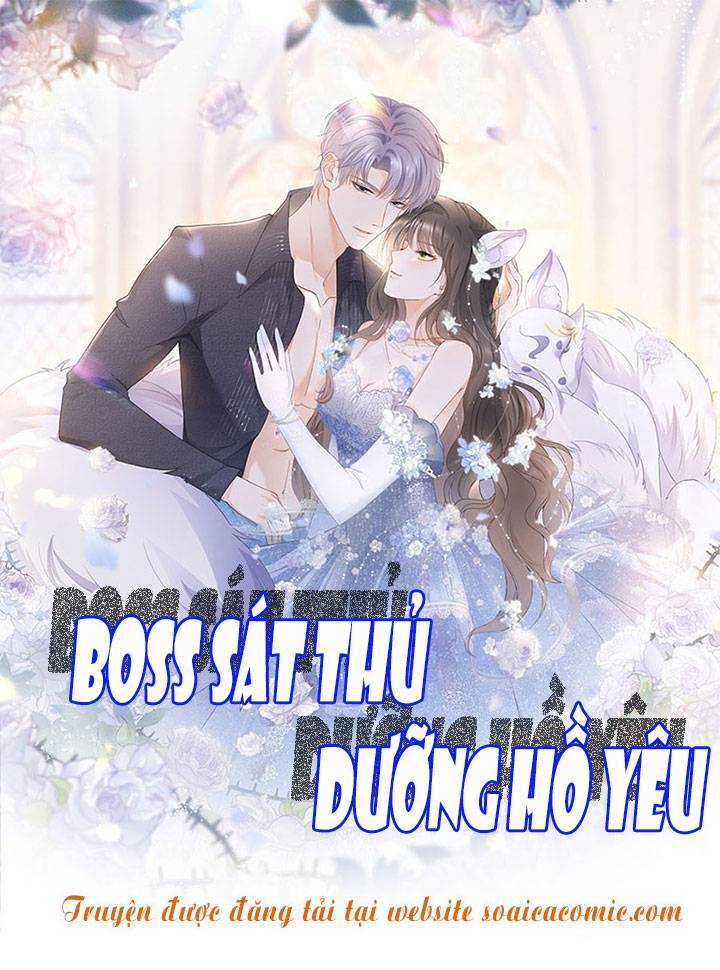 Boss Sát Thủ Dưỡng Hồ Yêu Chapter 33 - Trang 1