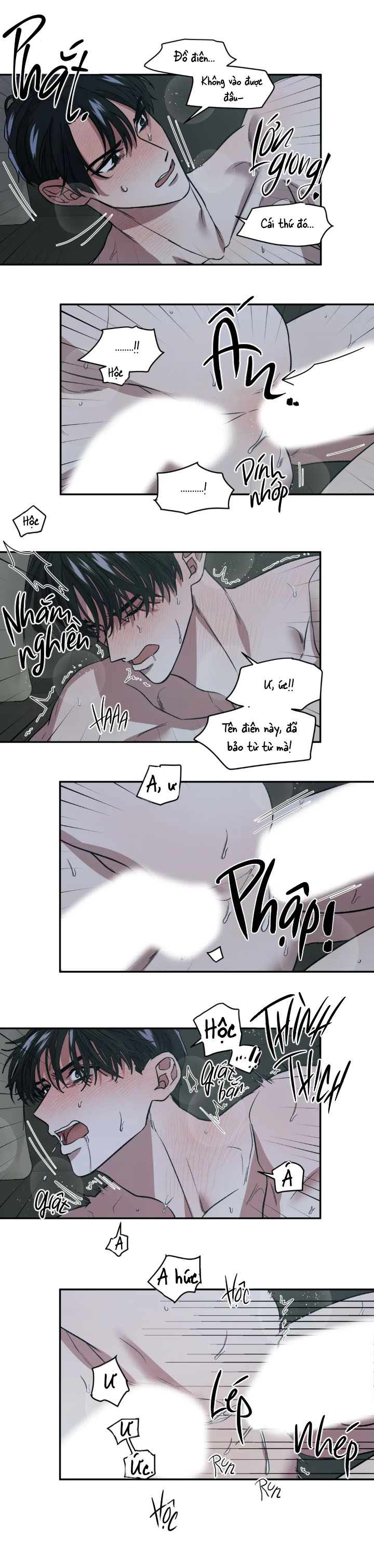 Ám Ảnh Pheromone Chapter 13 - Trang 13