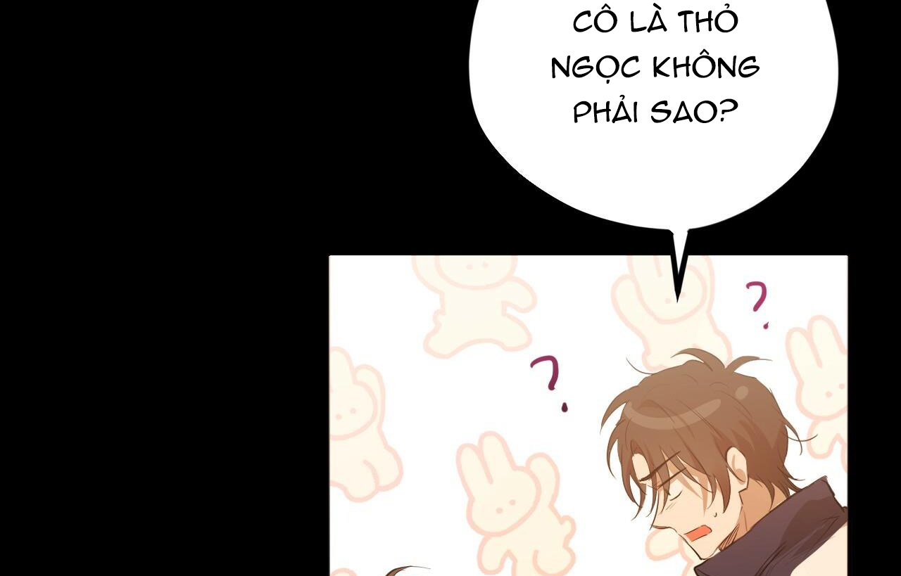 Đàn Thỏ Của Habibi Chapter 26 - Trang 222