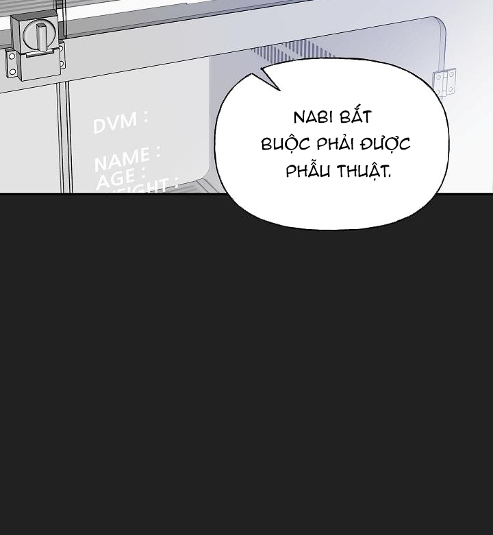 Xác Suất Tình Yêu Chapter 39 - Trang 71