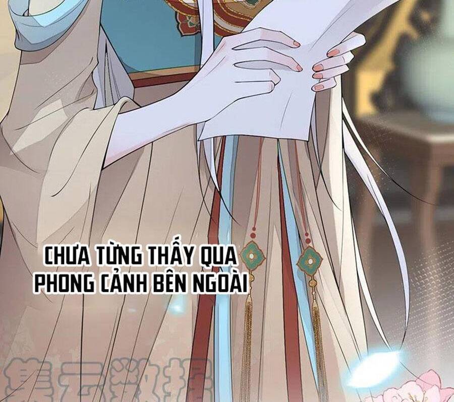 Thái Hậu Quân Hạ Thần Chapter 151 - Trang 27