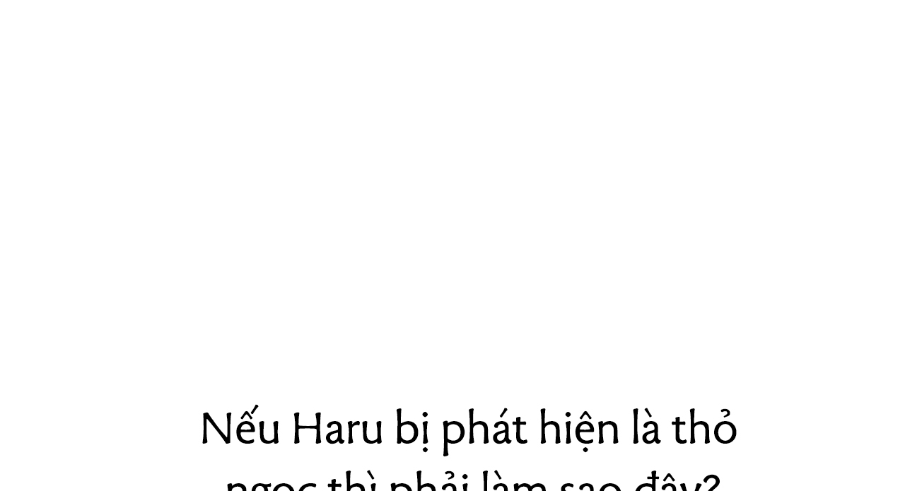 Đàn Thỏ Của Habibi Chapter 27 - Trang 137