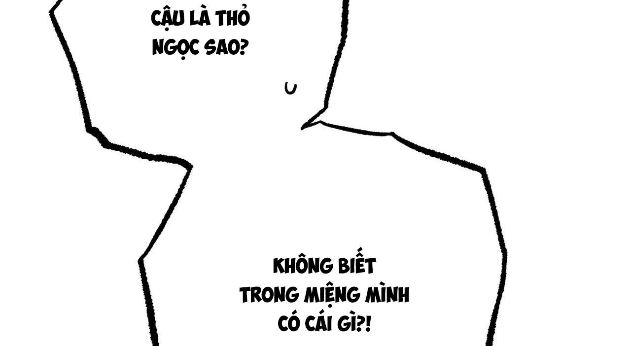 Đàn Thỏ Của Habibi Chapter 27 - Trang 31