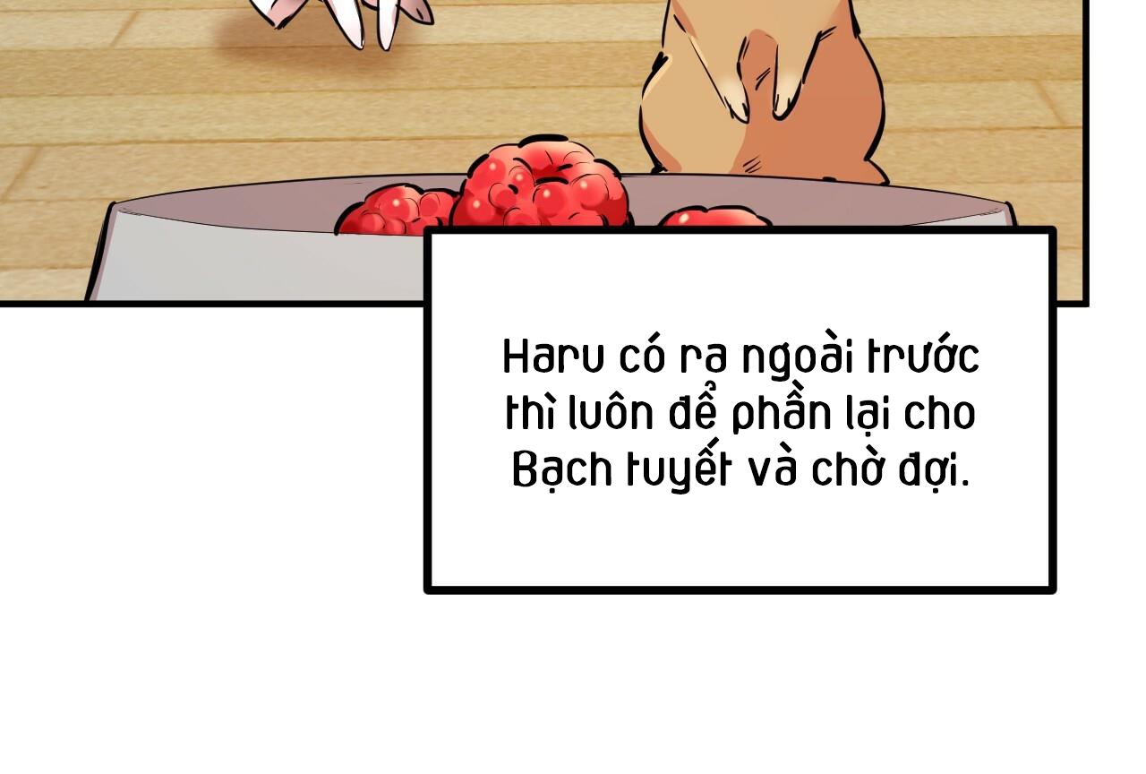 Đàn Thỏ Của Habibi Chapter 28 - Trang 154