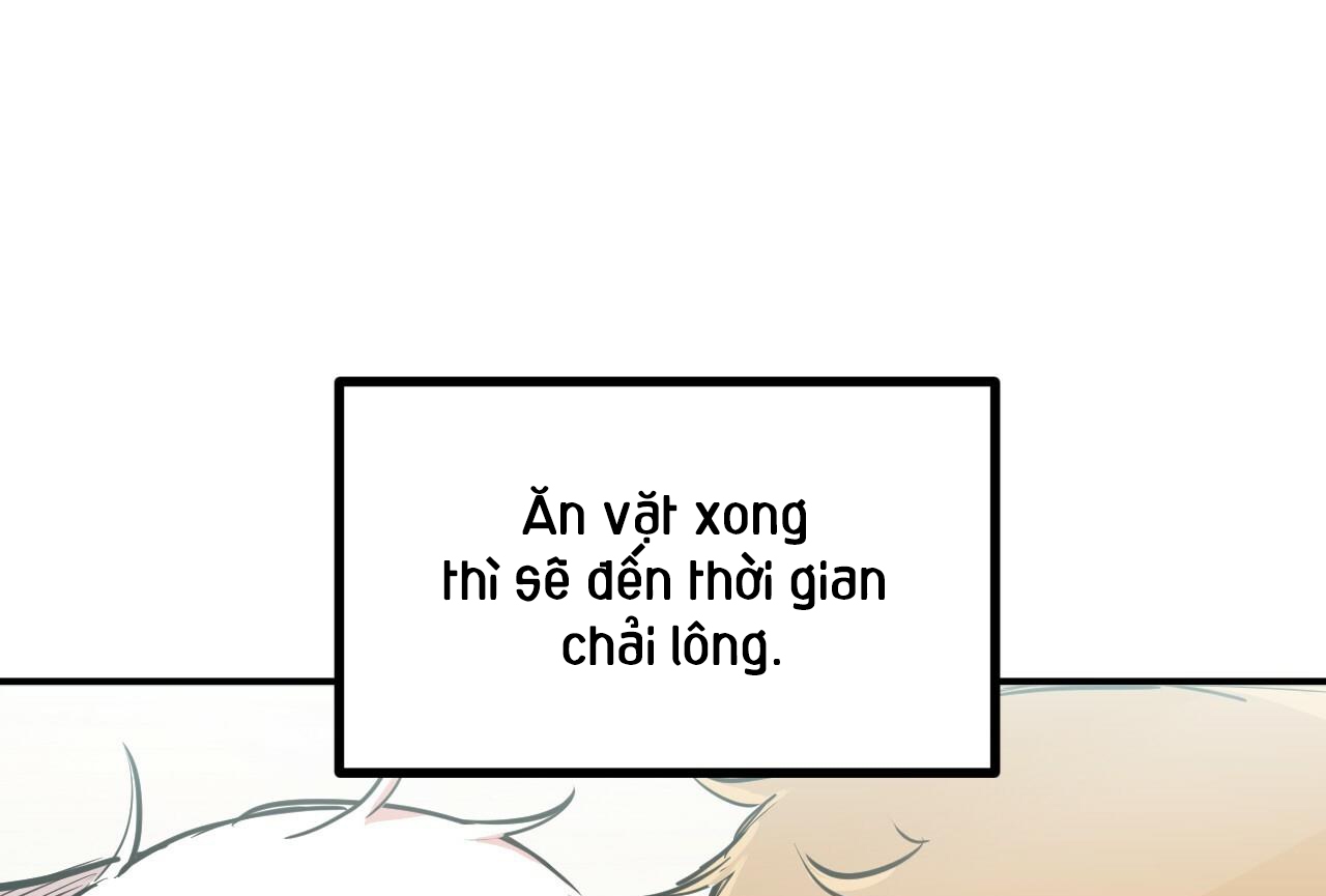 Đàn Thỏ Của Habibi Chapter 28 - Trang 155