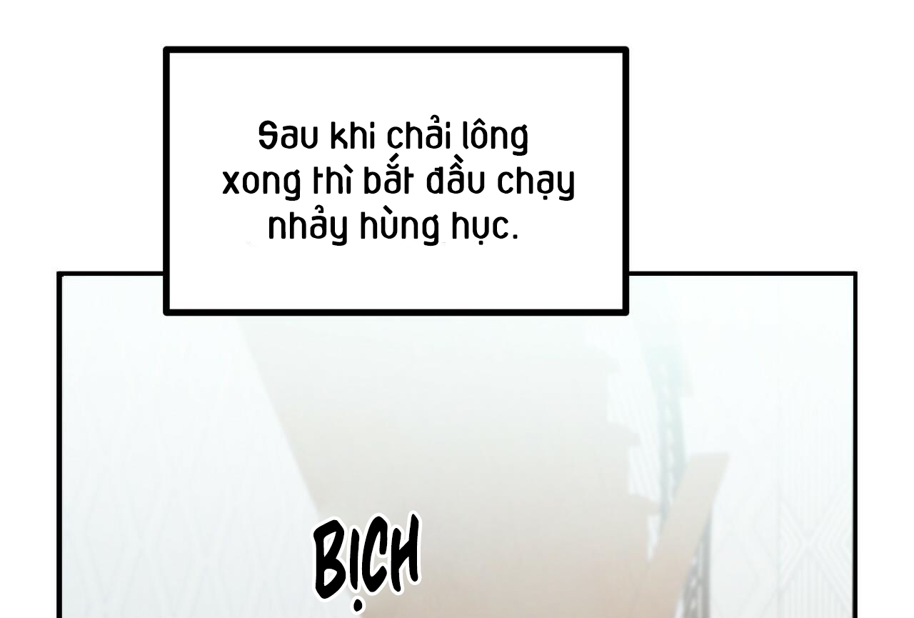 Đàn Thỏ Của Habibi Chapter 28 - Trang 159