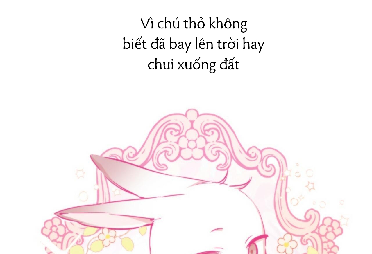 Đàn Thỏ Của Habibi Chapter 28 - Trang 6