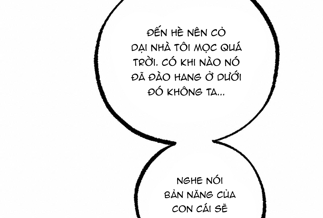 Đàn Thỏ Của Habibi Chapter 28 - Trang 59