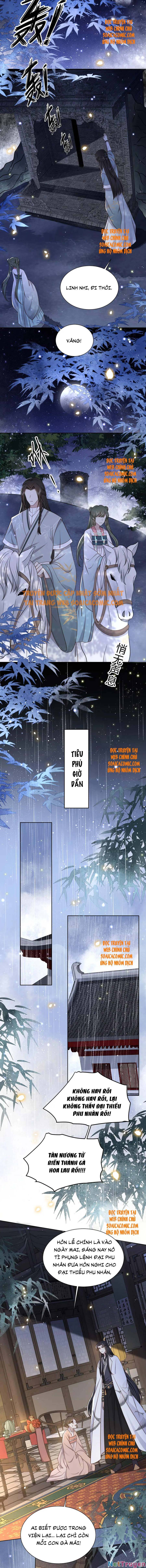 Cô Vương Quả Nữ Chapter 31 - Trang 7