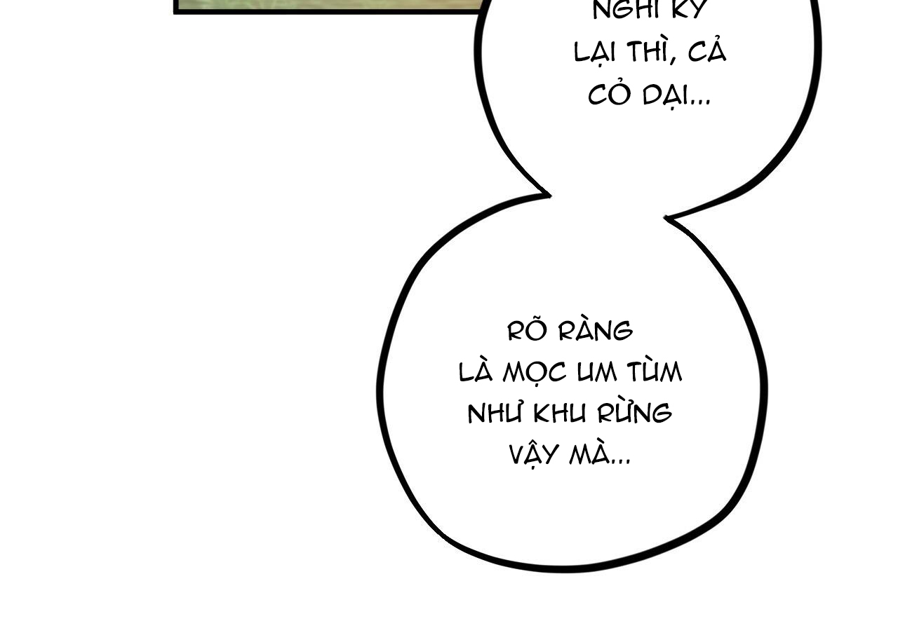 Đàn Thỏ Của Habibi Chapter 29 - Trang 210