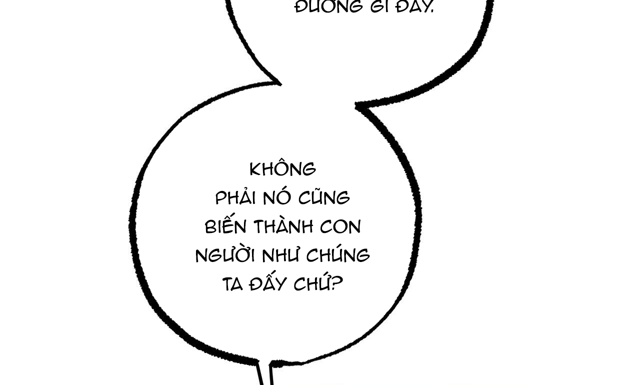 Đàn Thỏ Của Habibi Chapter 30 - Trang 227