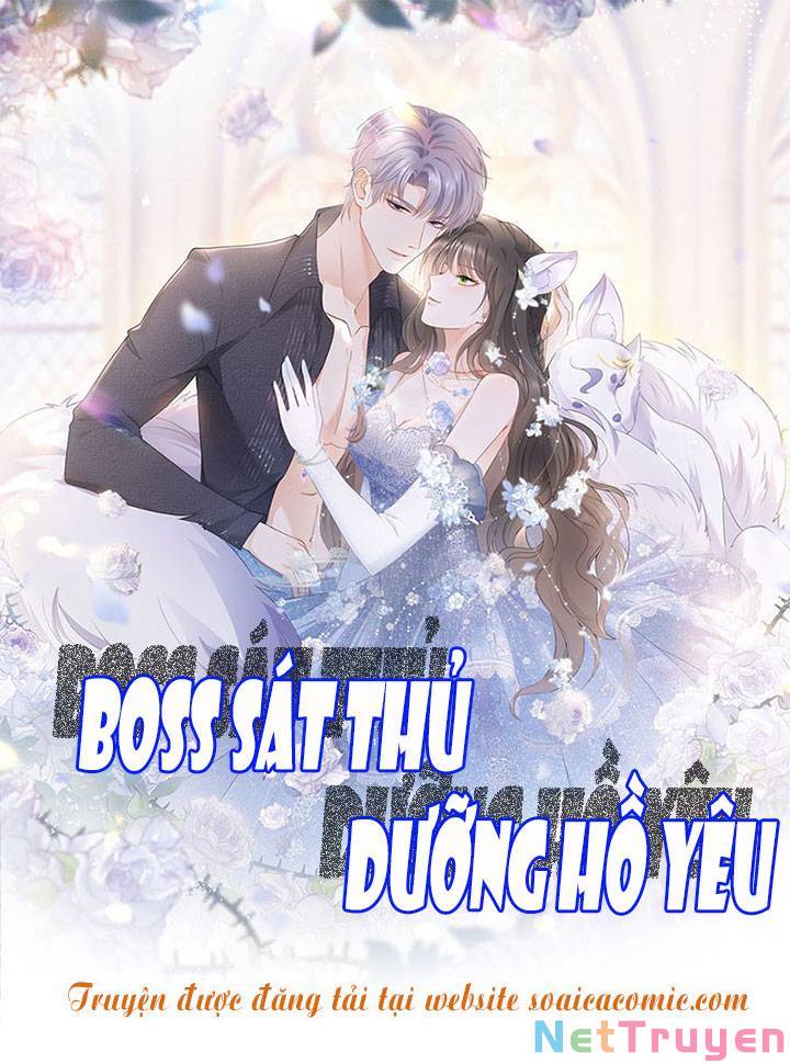 Boss Sát Thủ Dưỡng Hồ Yêu Chapter 43 - Trang 1