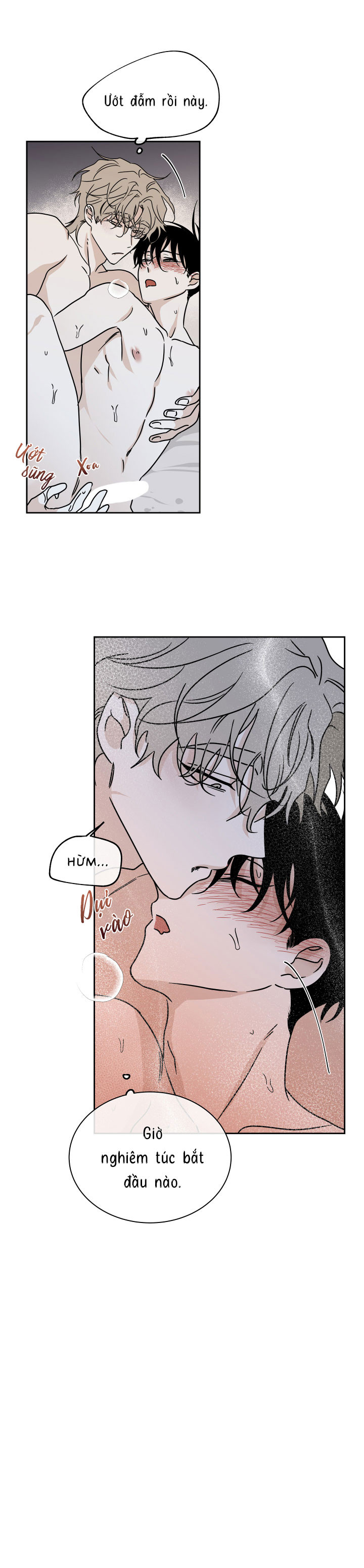 Đêm Bên Bờ Biển Chapter 27 - Trang 2