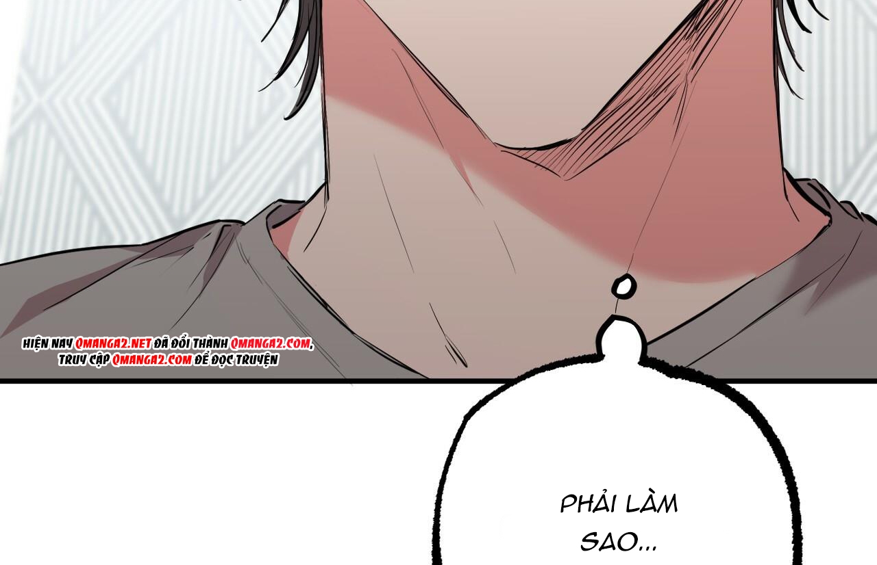 Đàn Thỏ Của Habibi Chapter 31 - Trang 192