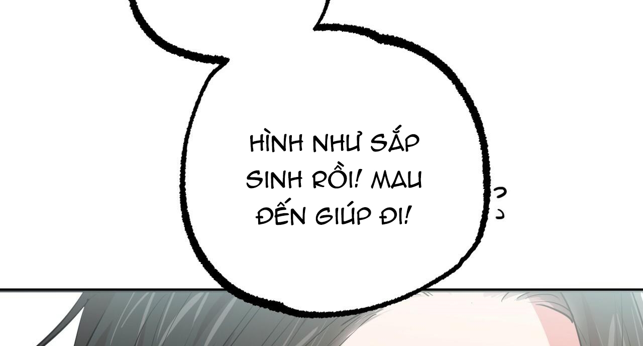 Đàn Thỏ Của Habibi Chapter 31 - Trang 203