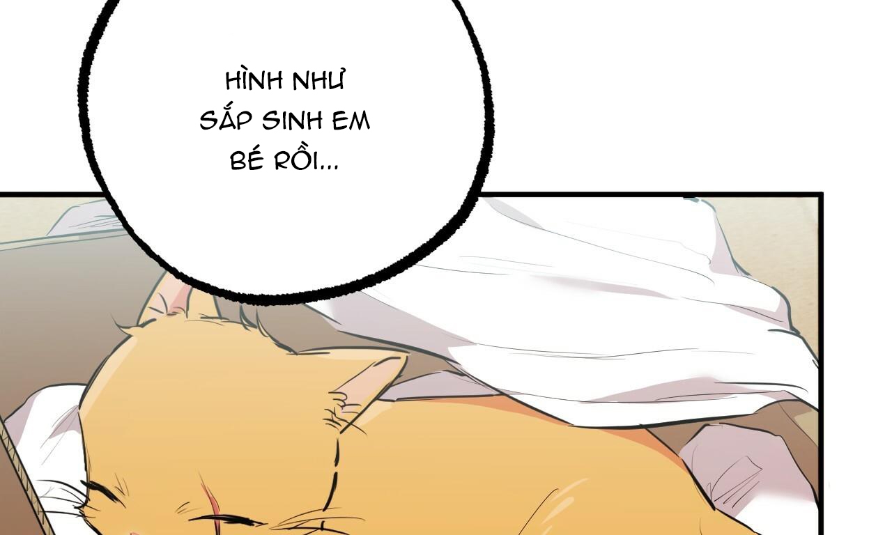 Đàn Thỏ Của Habibi Chapter 31 - Trang 59