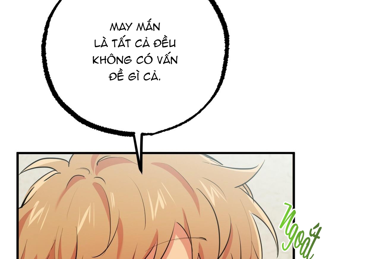 Đàn Thỏ Của Habibi Chapter 32 - Trang 12