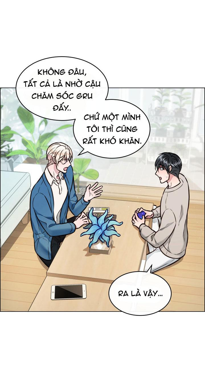 Thực Vật Trị Liệu Chapter 3 - Trang 28