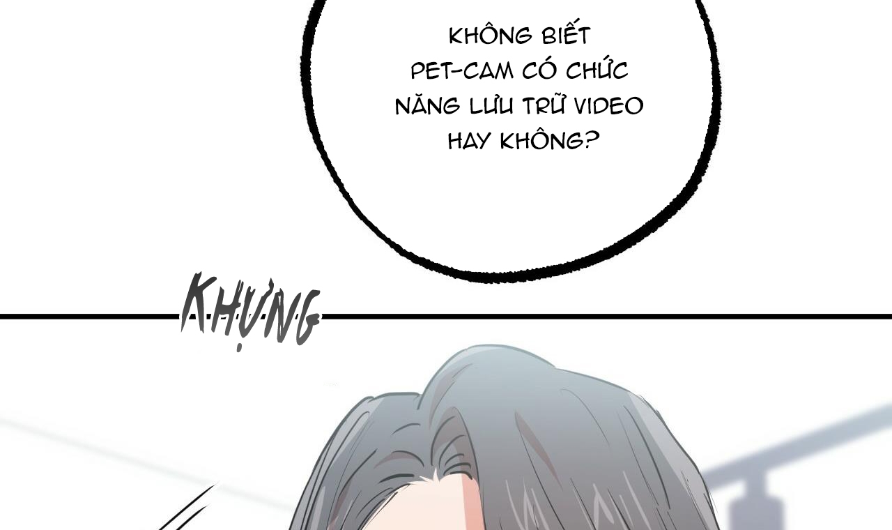 Đàn Thỏ Của Habibi Chapter 34 - Trang 43