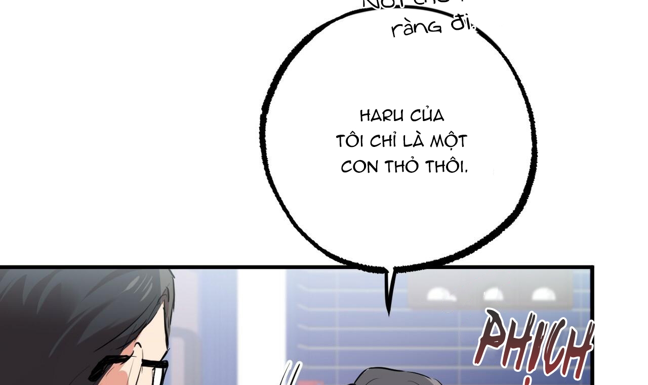 Đàn Thỏ Của Habibi Chapter 34 - Trang 58