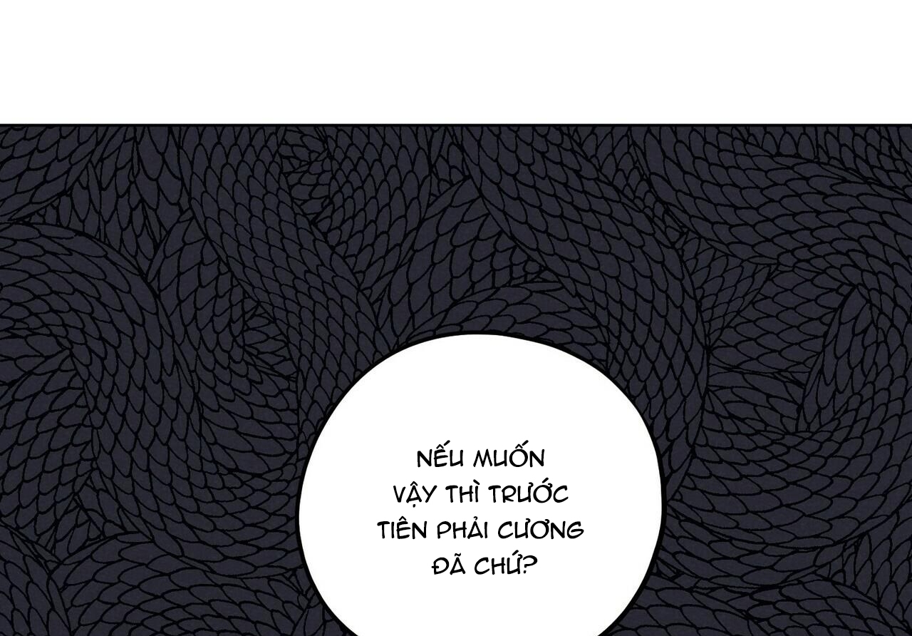 Chàng Dâu Nhà Họ Kang Chapter 15 - Trang 79