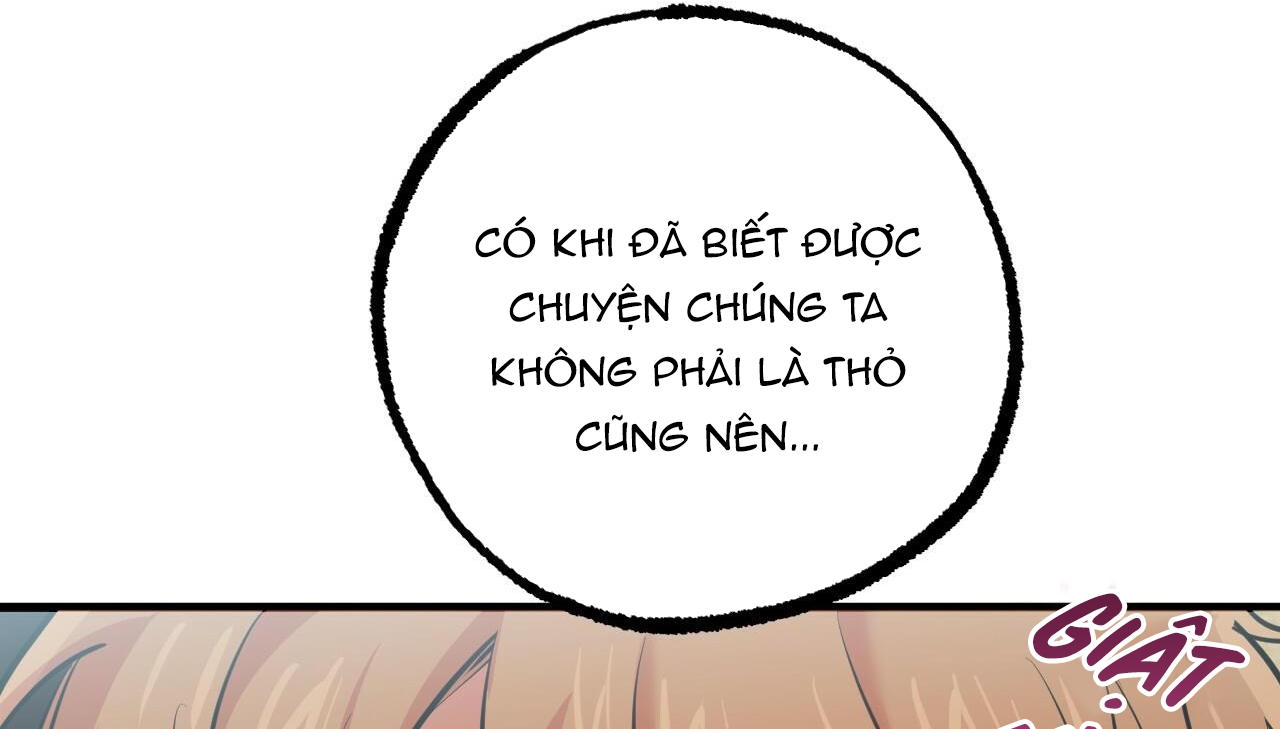 Đàn Thỏ Của Habibi Chapter 35 - Trang 112