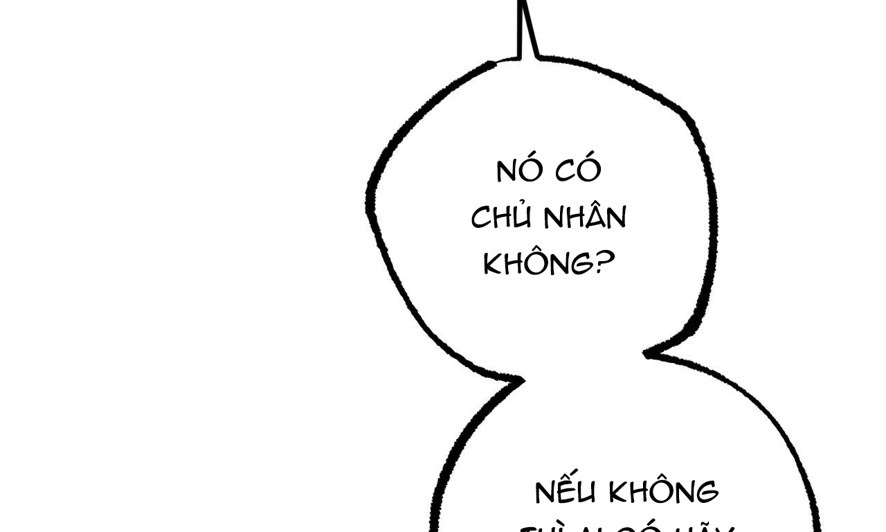 Đàn Thỏ Của Habibi Chapter 35 - Trang 17