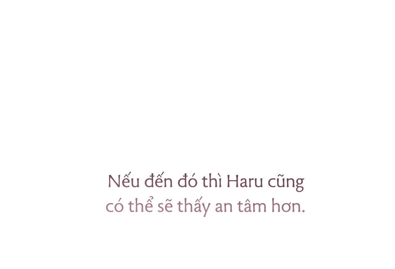 Đàn Thỏ Của Habibi Chapter 35 - Trang 229