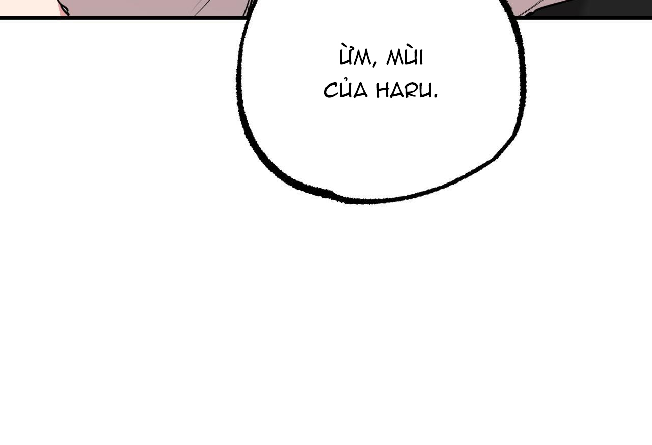 Đàn Thỏ Của Habibi Chapter 35 - Trang 234