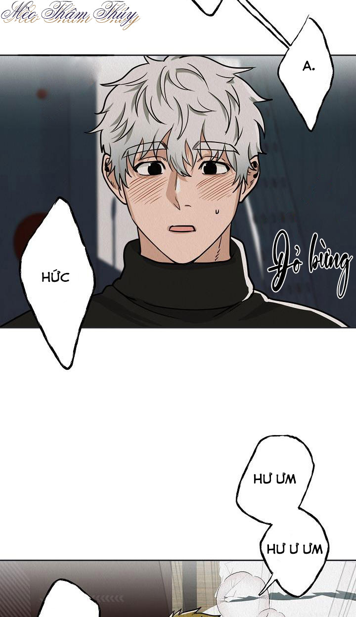 Yêu Cuồng Si Chapter 5 - Trang 36